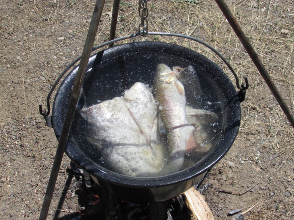 Priprema za kuvanje riblje čorbe na KAMPU Spusta Bez Granica