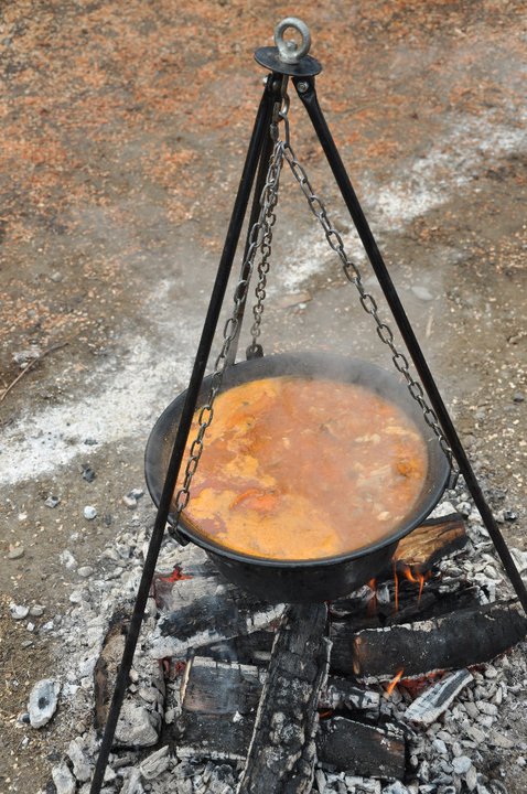 procedura takmicenja kuvanja riblje corbe pod kopaonikom na ibru u srbiji